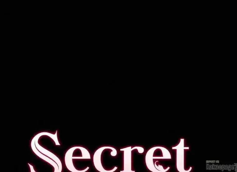 Secret Lady Chapter 69 87